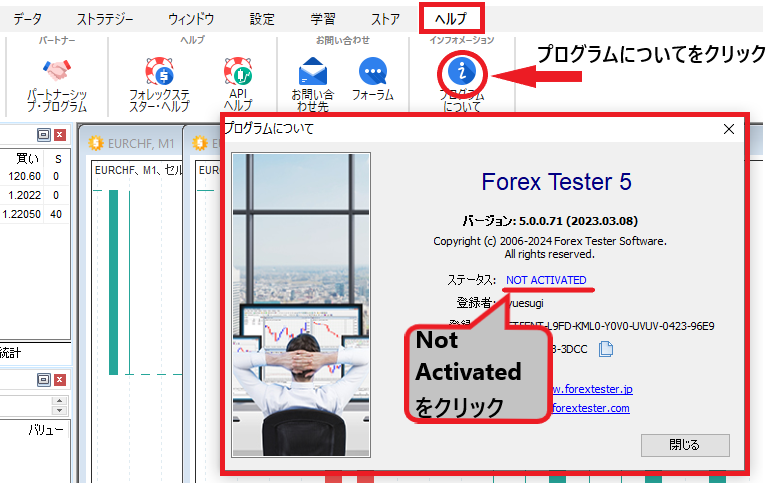 Forex Tester 5の登録キーやアドレスを入力するイメージ